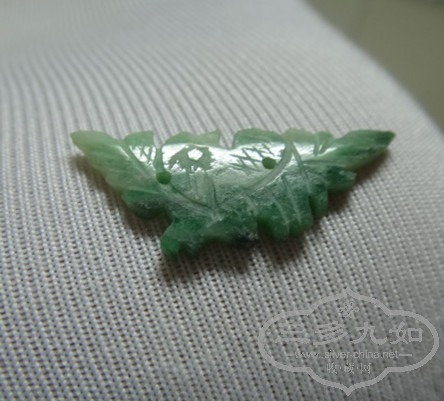 DSC00098_.jpg