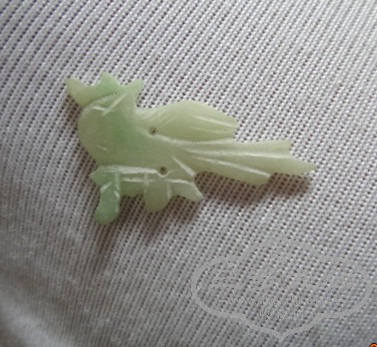 DSC00111_.jpg