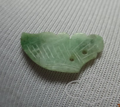 DSC00141_.jpg