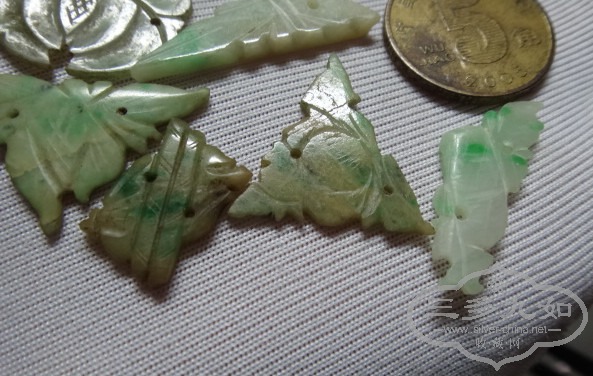 DSC00173_.jpg