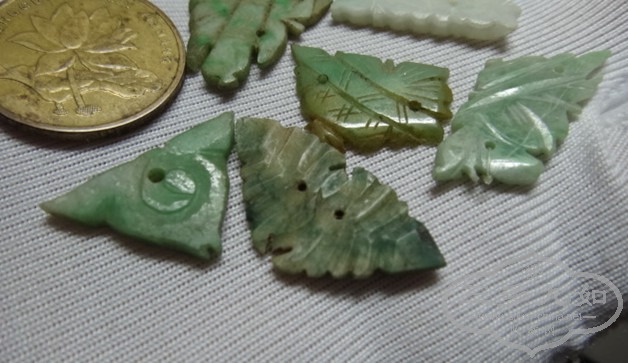 DSC00176_.jpg