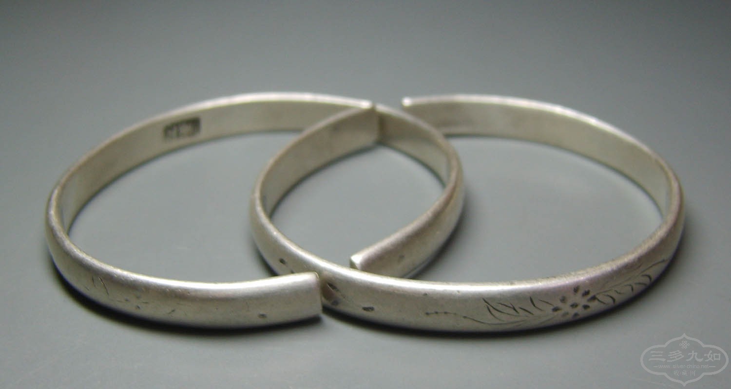 S8000021.JPG