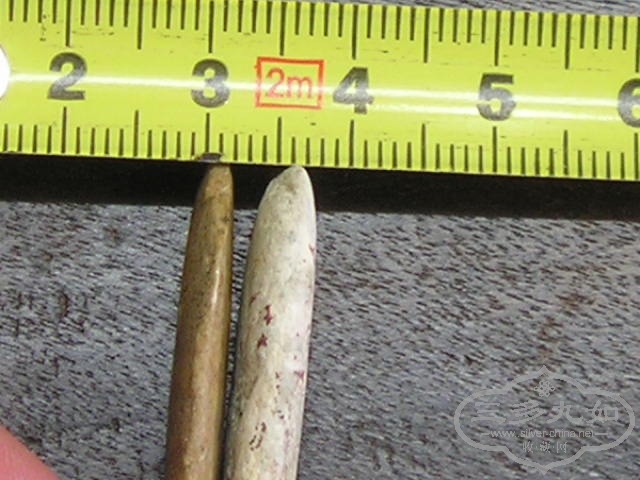 P1010013.JPG