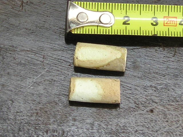P1010035.JPG
