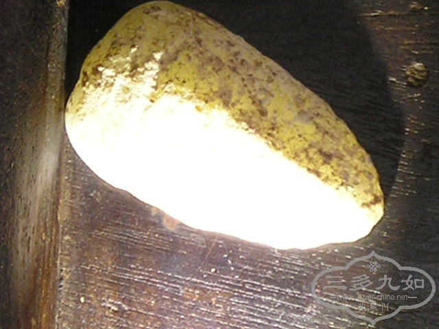 P1010020.JPG
