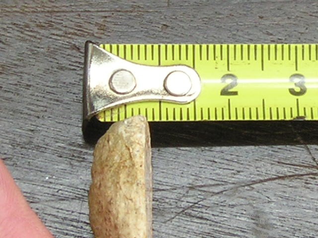 P1010021.JPG