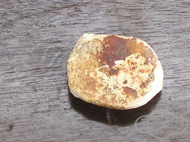 P1010032.JPG