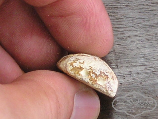 P1010033.JPG