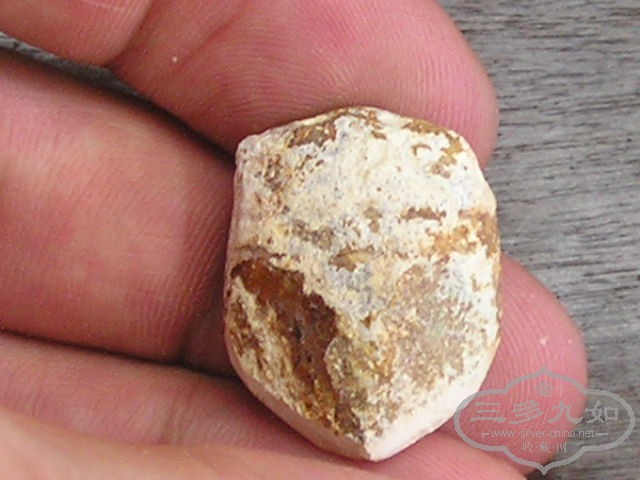 P1010034.JPG