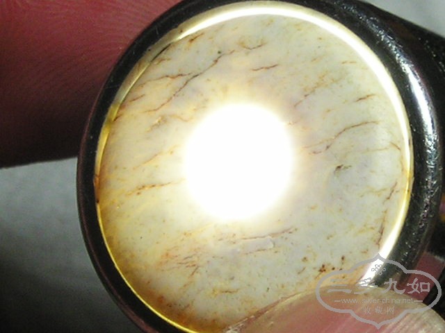 P1010057.jpg