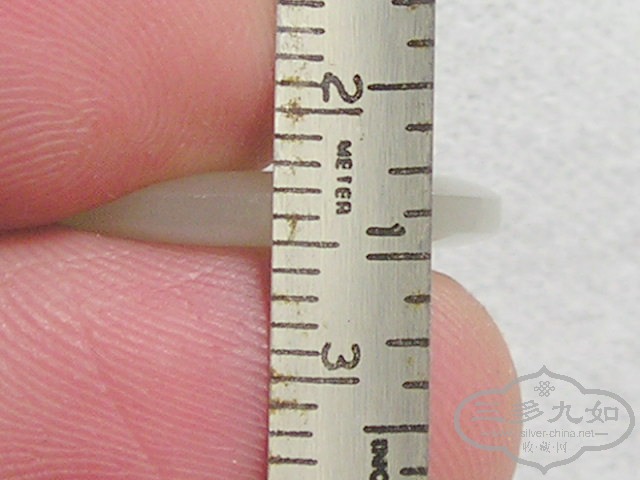 P1010036.jpg