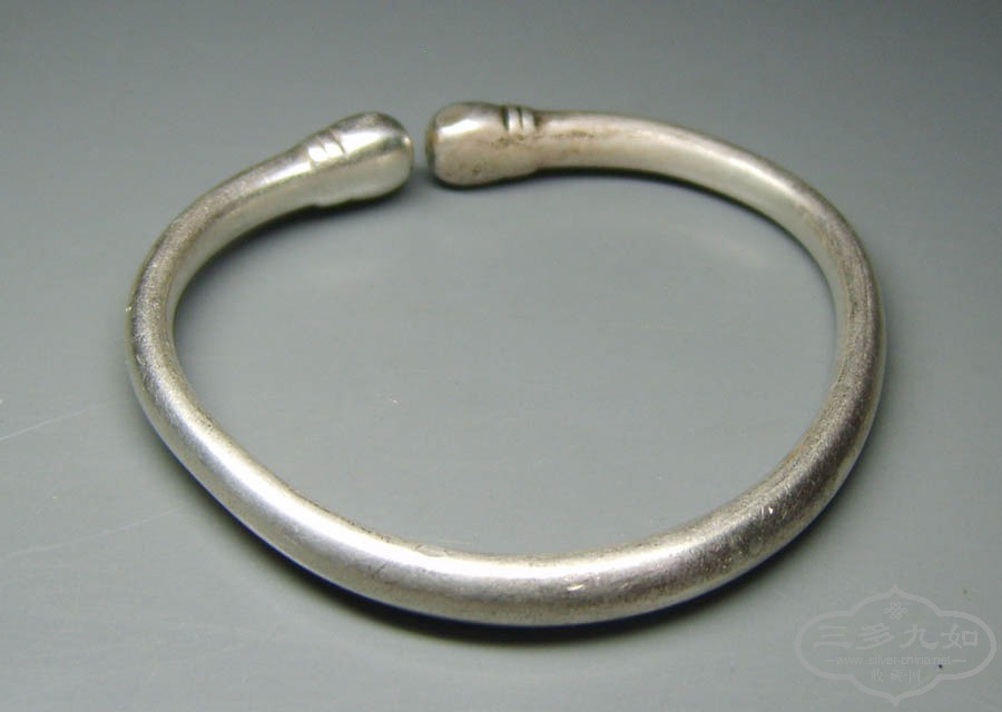 S8000110.JPG
