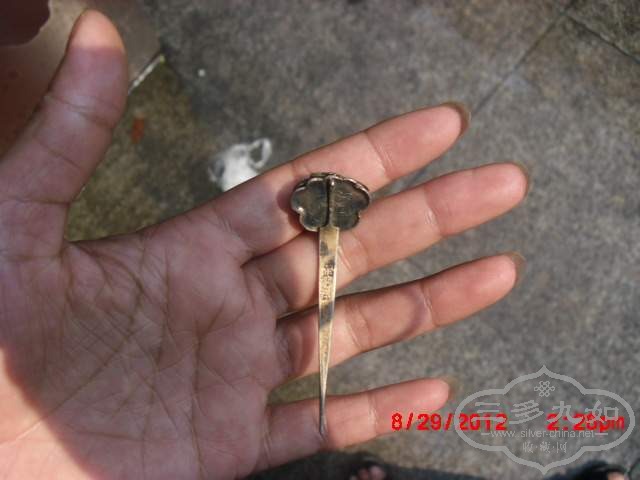 CIMG5394.JPG