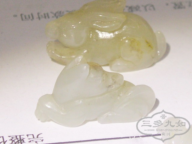 P1010014.jpg