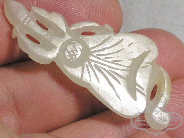 P1010004.jpg