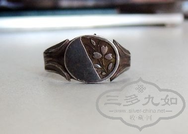 Ƭ 9546.jpg