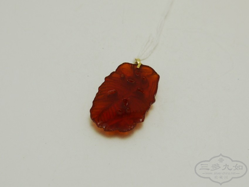 p1000351_conew1.jpg