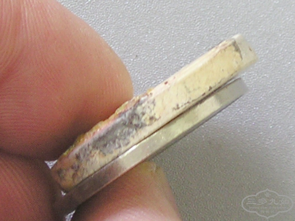 P1010005.jpg