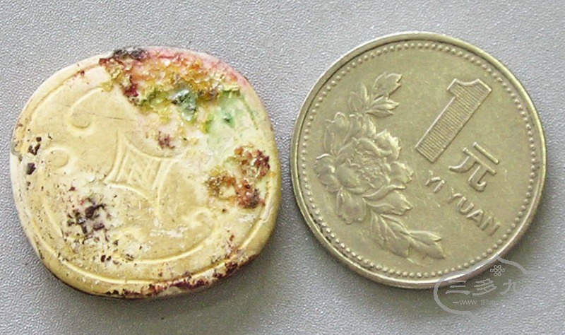 P1010001.jpg