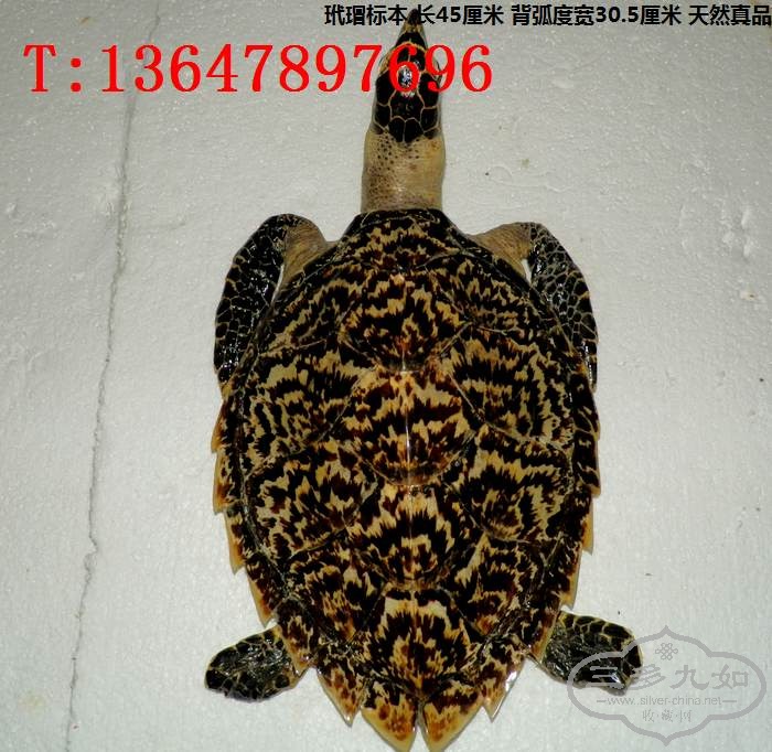 裱걾۸ͼƬ ۾  ӵ̣http://www.dmzhuanmai.com/ 