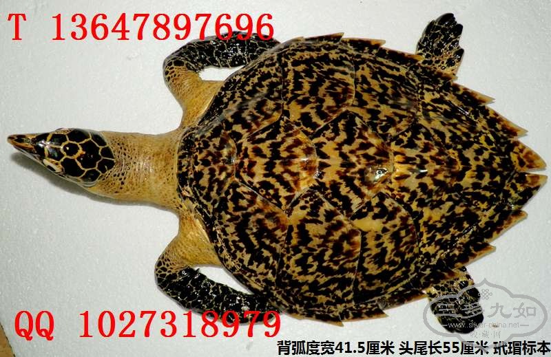 裱걾 ۾   (144).jpg