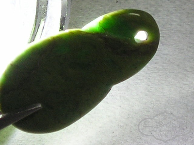 P1010037.jpg