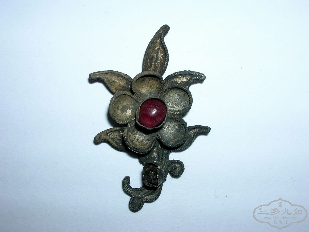DSCN6176.JPG