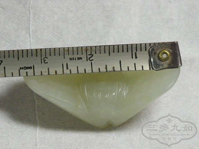 P1010001.jpg