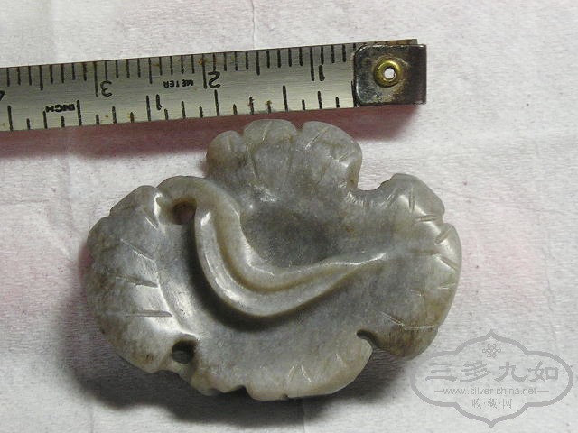 P1010045.jpg