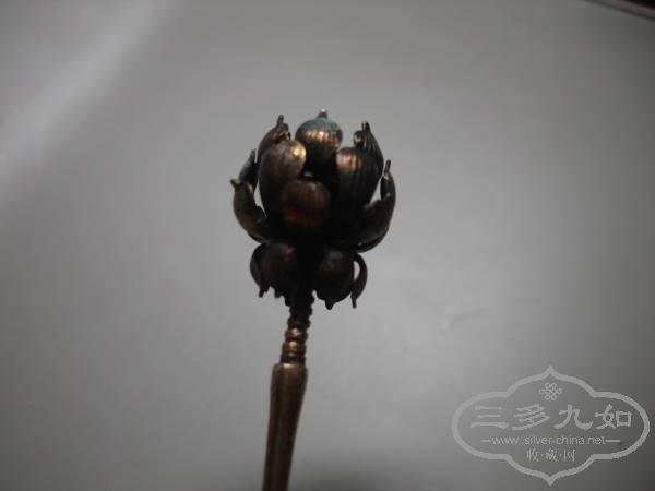 DSC08574.jpg