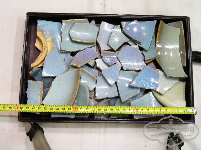 P1010004.jpg