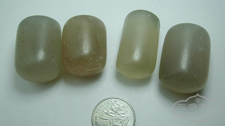 DSCN8255.jpg