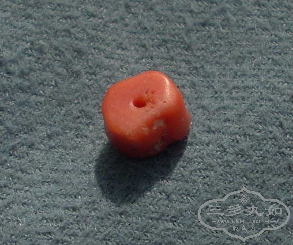 DSCN9844.JPG