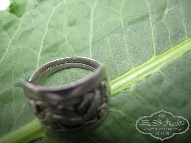 DSCN0320.JPG