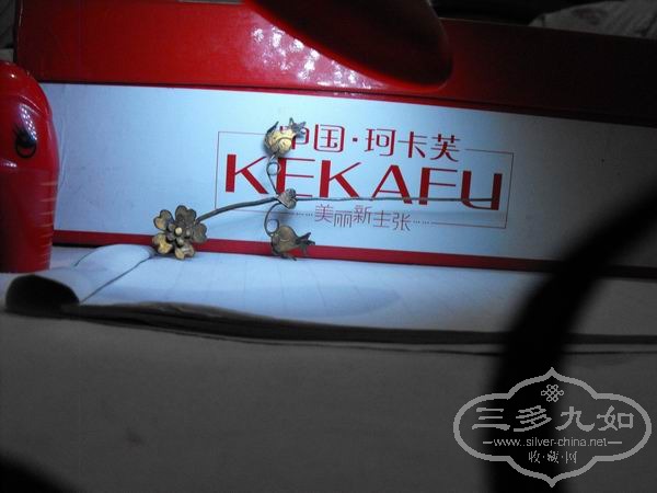 ������С DSCF1798.JPG