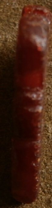 P5010168.JPG