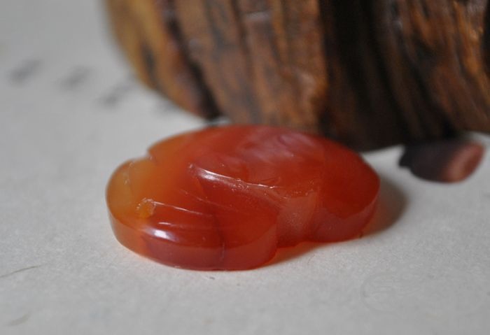 DSC_3086.jpg