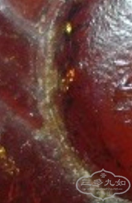 ͼƬ 010.jpg