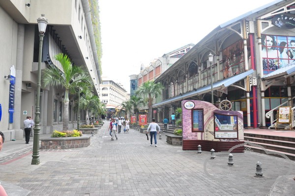 DSC_0817.jpg