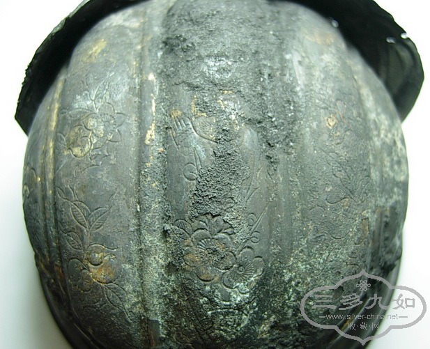 DSCN9554.jpg