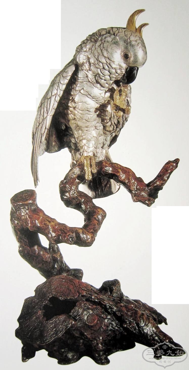 japanese parrot 1.JPG