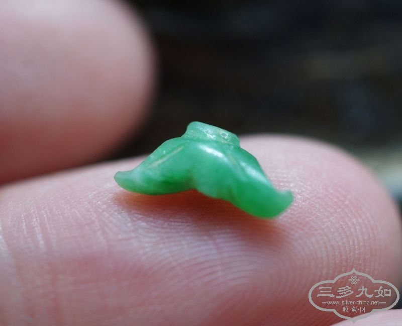 145449hfsitqnqtjf7ptjz.jpg