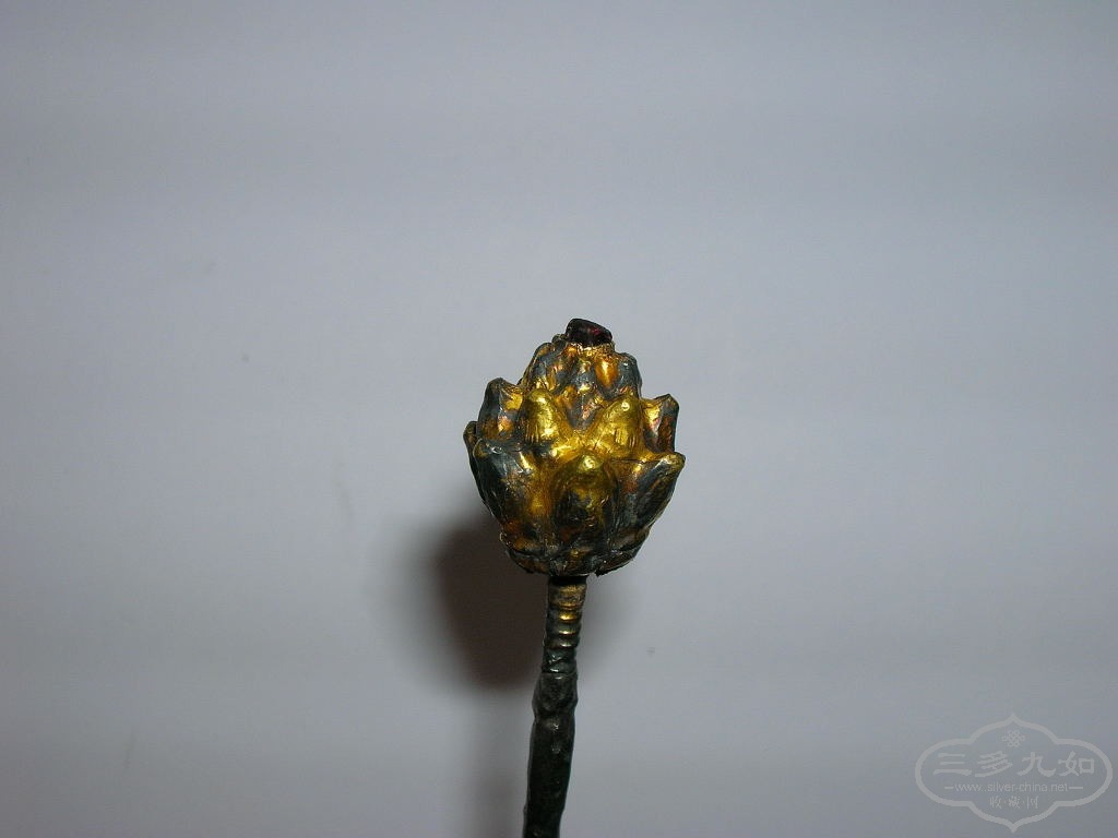 DSCN9085.JPG