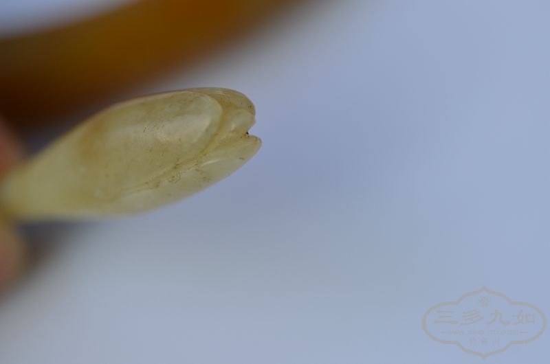 DSC_0911.JPG