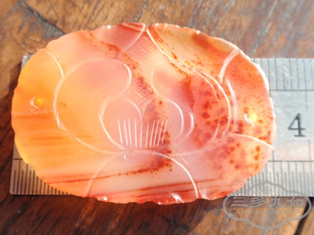 PA129132.JPG