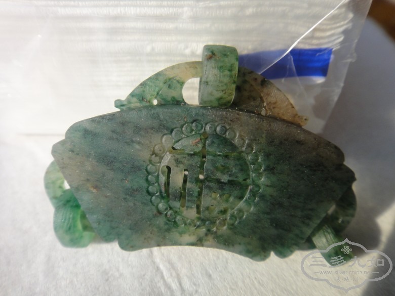 DSC02317_conew1.JPG