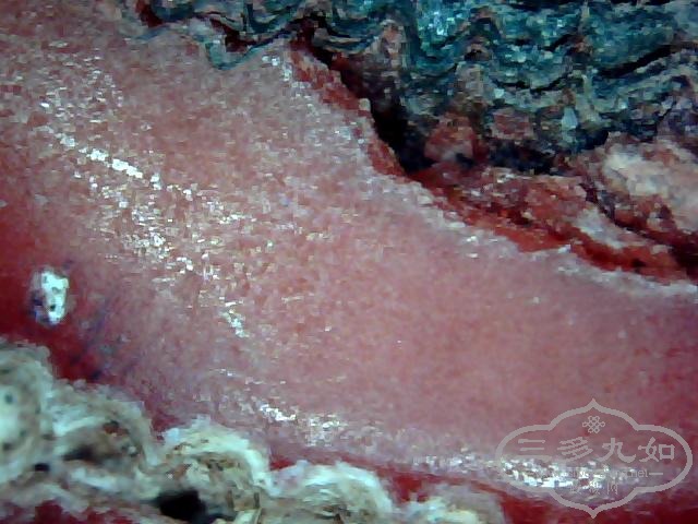 ͼƬ 033.jpg