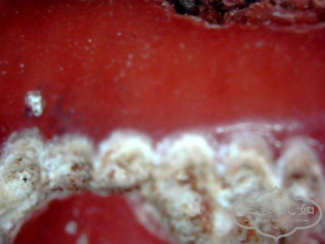 ͼƬ 037.jpg