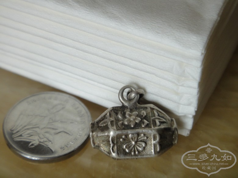 DSC02352_conew1.JPG