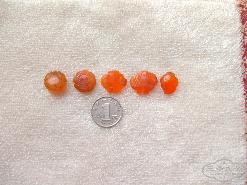 1-PB095551.JPG